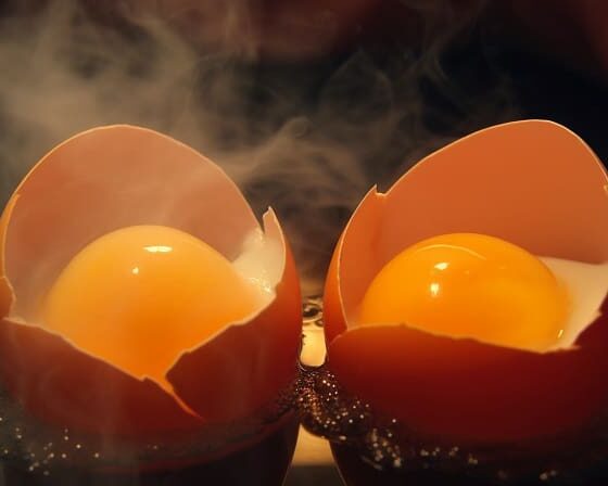 biblical meaning of a double yolk egg