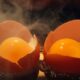 biblical meaning of a double yolk egg