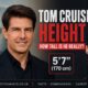 Tom Cruise Height